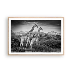 Plakat w ramie jasny dąb - Wyższe sfery w Afryce - 91x61 cm