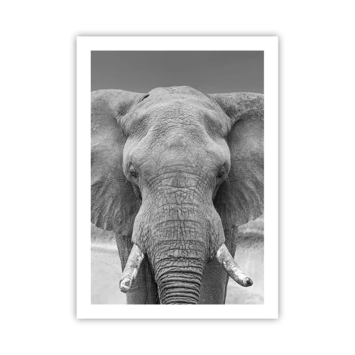 Plakat - Słoń w czarno-białej fotografii artystycznej - 50x70cm - Witaj w moim świecie - Nowoczesna dekoracja ścienna do salonu, kuchni i sypialni ARTTOR