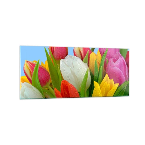 Obraz na szkle - Kolorowe tulipany pokryte kroplami rosy na błękitnym tle - 120x50cm - Kwiatowa tęcza w kroplach rosy - Nowoczesna dekoracja ścienna do salonu i sypialni ARTTOR