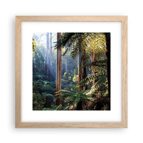 Plakat w ramie jasny dąb - Baśń lasu - 30x30 cm
