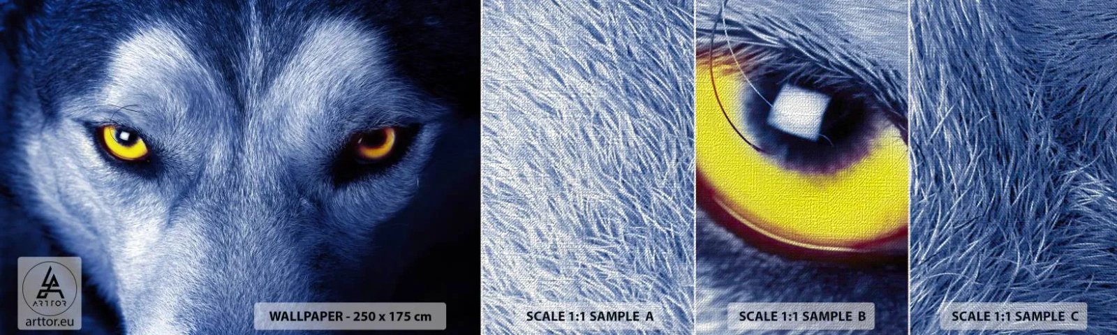 Fototapeta Próbka Premium Canvas - Hipnotyzujące spojrzenie - Zwierzęta, Wilk, Oczy - 100x30 cm