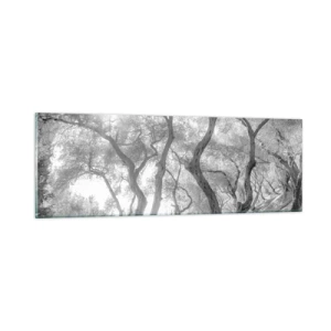 Obraz na szkle - W oliwnym gaju - 90x30 cm