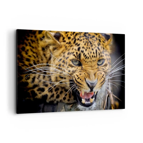 Obraz na płótnie - Zbliżenie na groźnego lamparta z wyszczerzonymi kłami - 120x80cm - Nie podchodź, ostrzegam! - Nowoczesna dekoracja ścienna do salonu, kuchni i sypialni ARTTOR