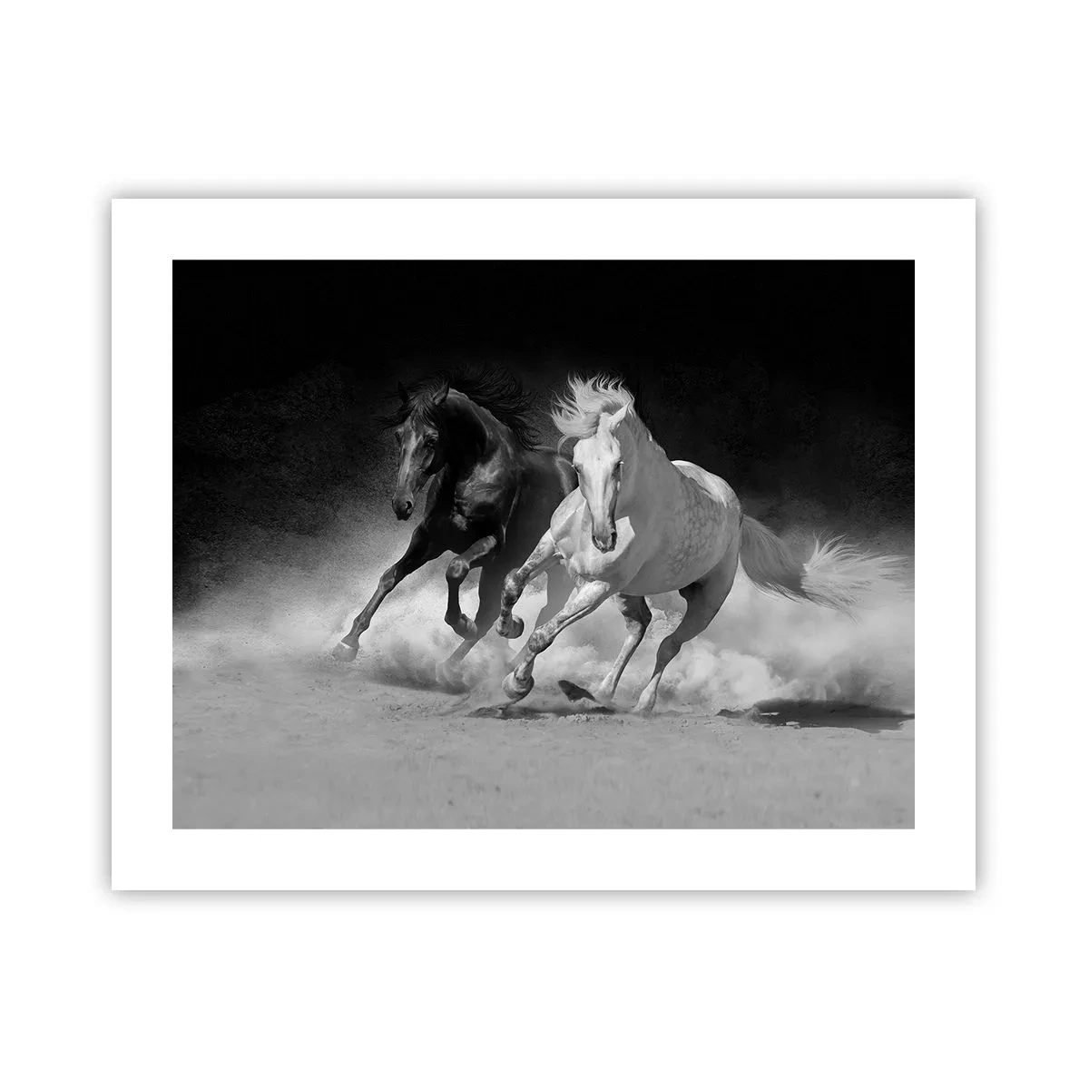 Plakat - Galop wolności - 50x40 cm