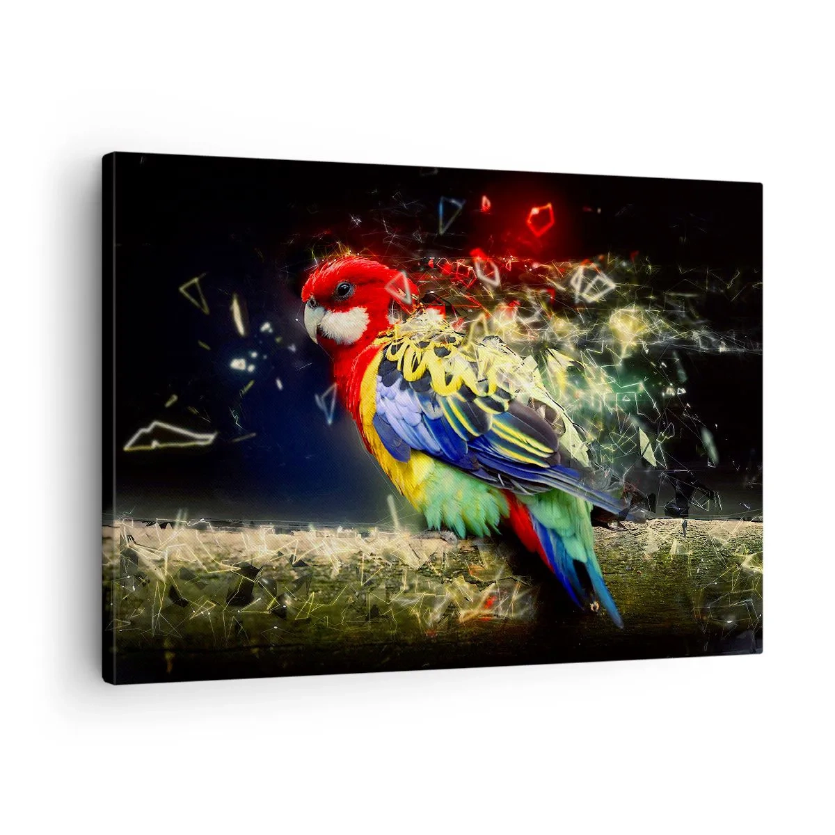 Obraz na płótnie - Papuga w żywych kolorach na tle efektów świetlnych - 70x50cm - Posłaniec blasku - Nowoczesna dekoracja ścienna do salonu i sypialni ARTTOR