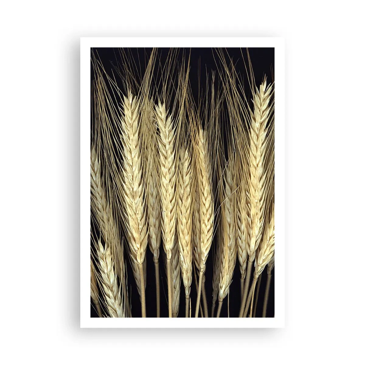 Plakat - Rustykalna magia - 70x100 cm