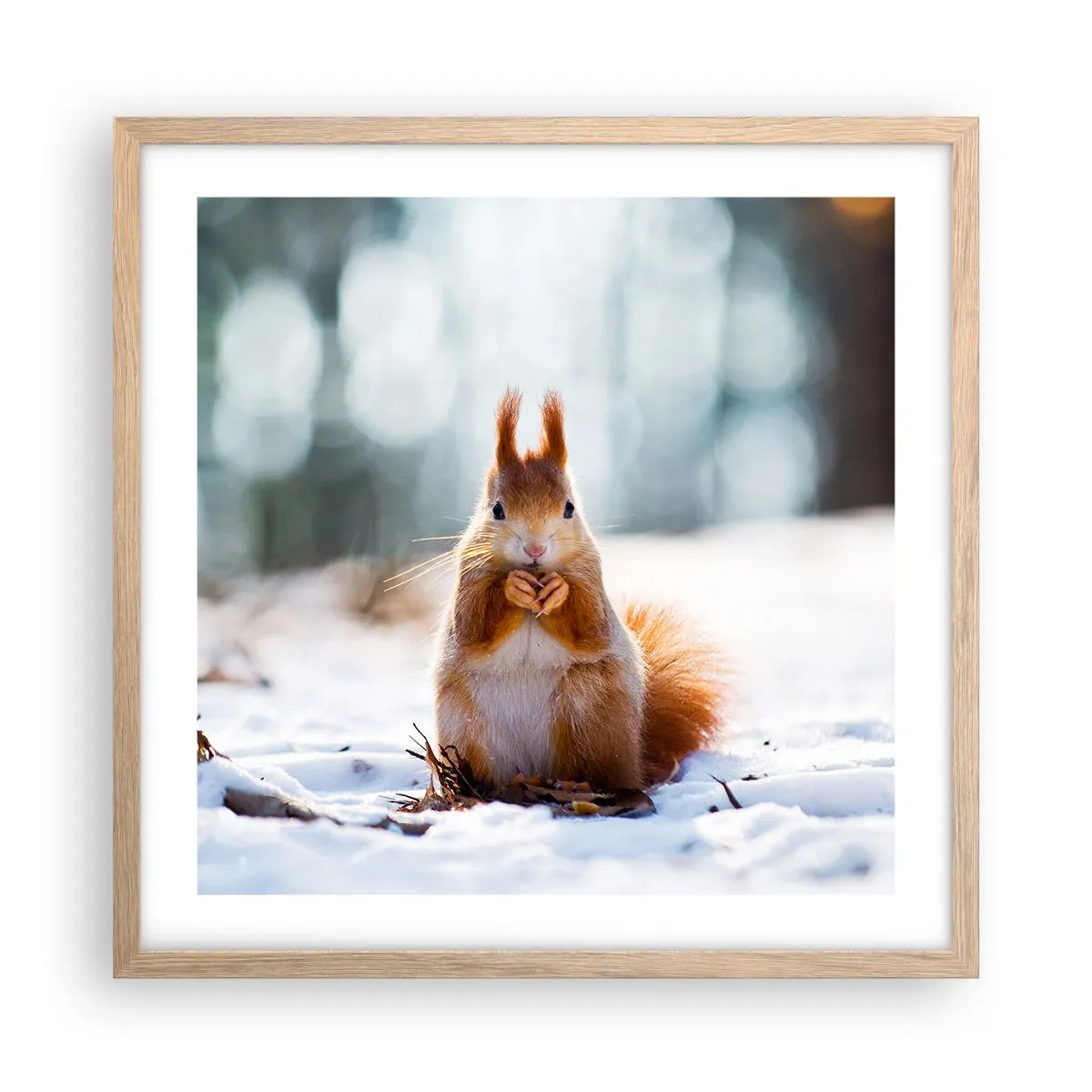 Plakat w ramie jasny dąb - I co tak patrzysz? - 50x50 cm