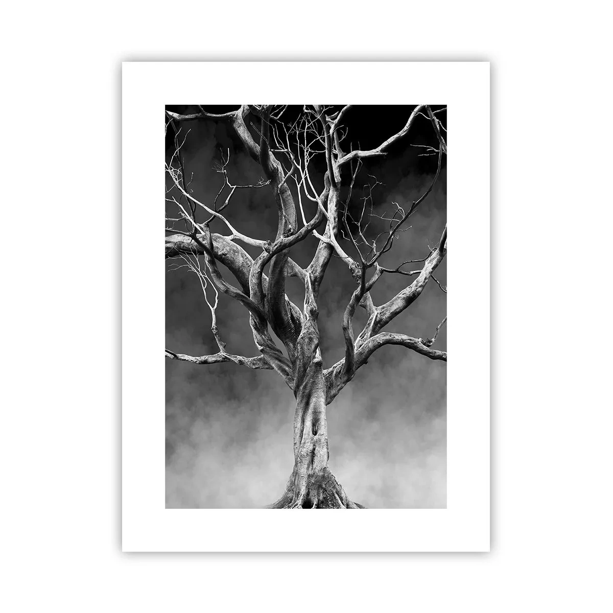 Plakat - Pierwotne i święte - 30x40 cm