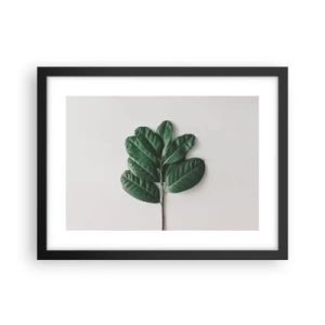 Plakat w czarnej ramie - Rysunek samej natury - 40x30 cm