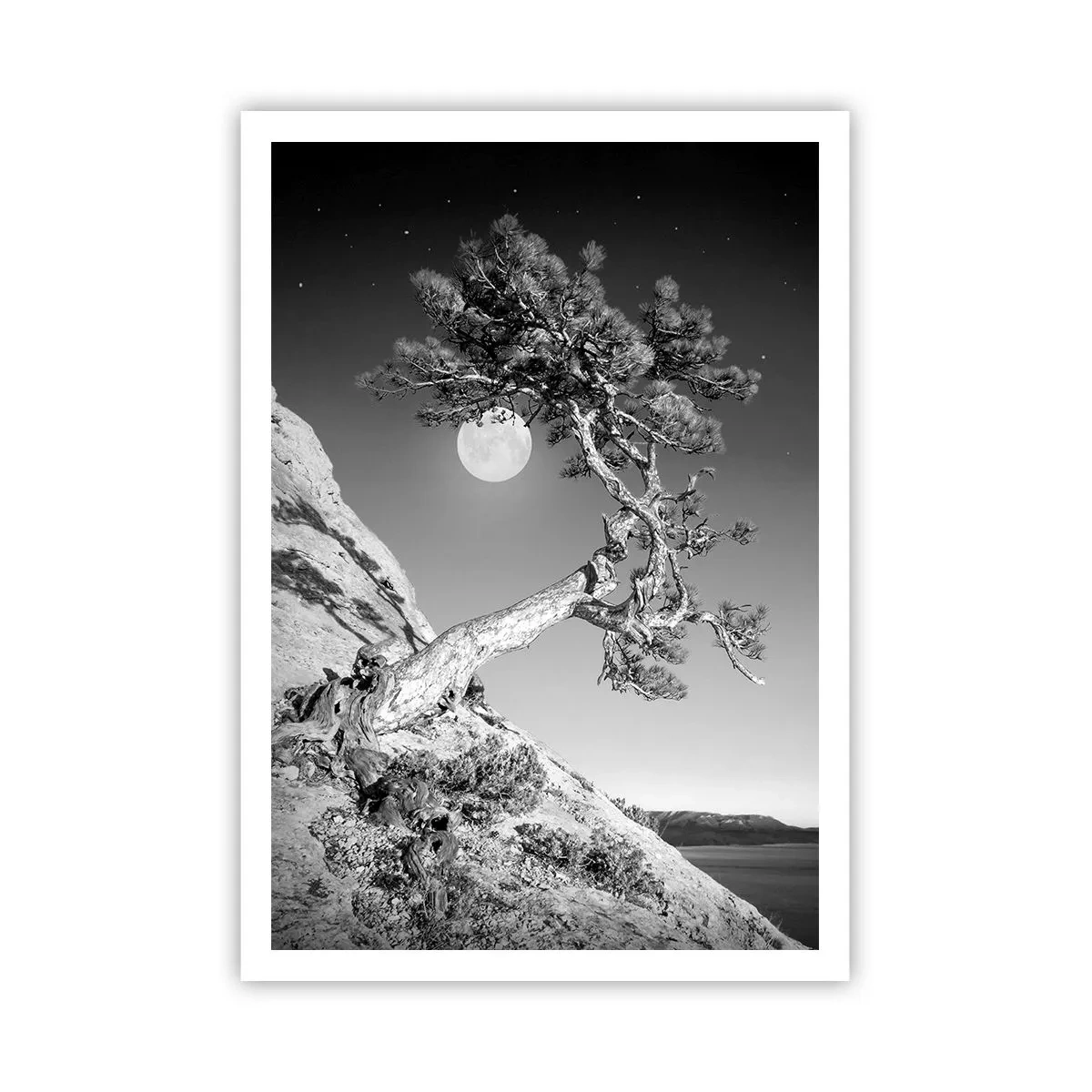 Plakat - Zwycięska wojowniczka - 70x100 cm