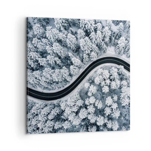 Obraz na płótnie - Przez zimowy las - 50x50 cm