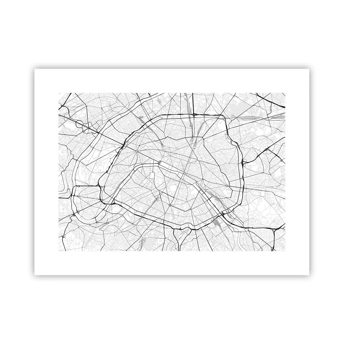 Plakat - Kwiat Paryża - 40x30 cm