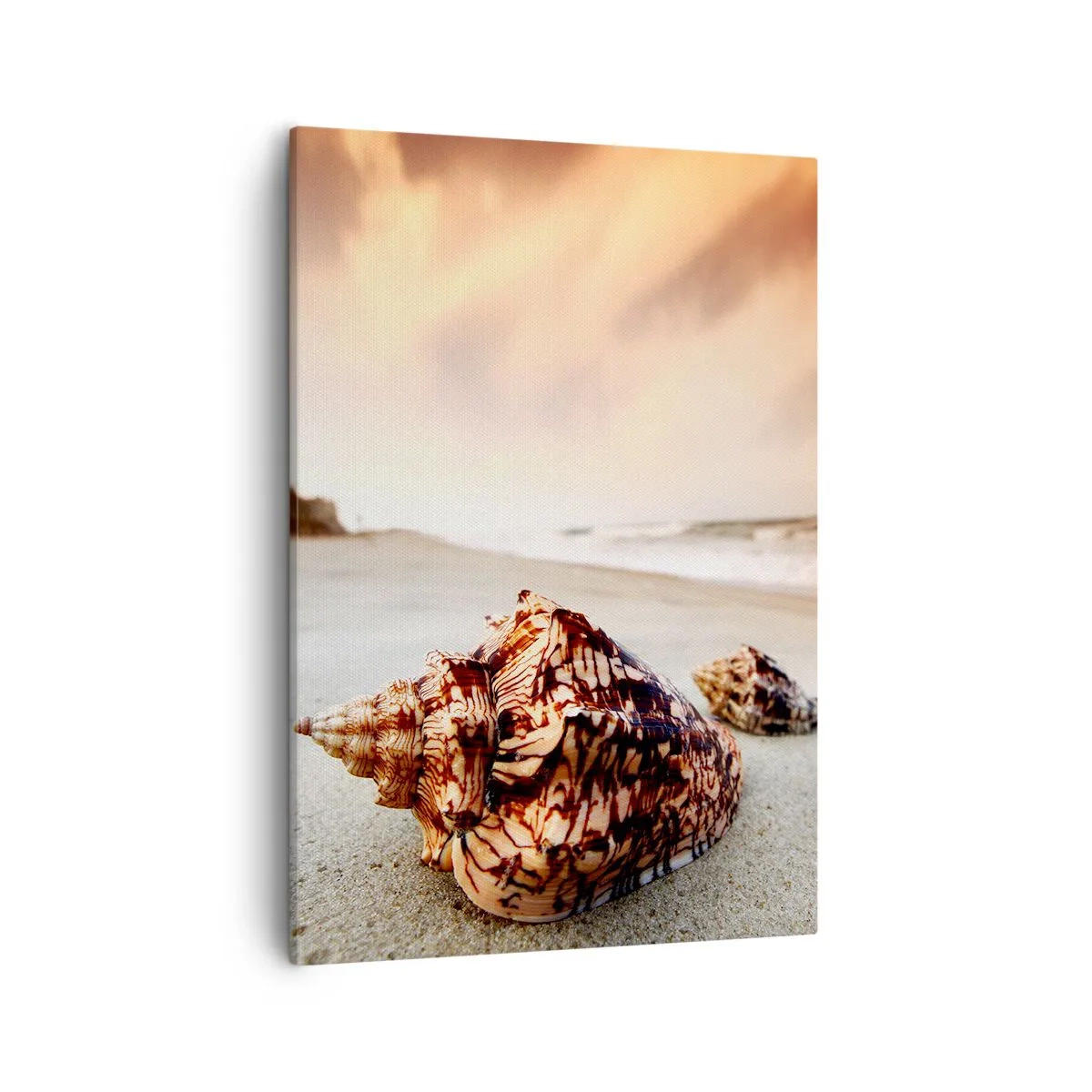 Obraz na płótnie - Muszle na plaży w ciepłym świetle zachodzącego słońca - 50x70cm - Wygnanki fal - Nowoczesna dekoracja ścienna do salonu, kuchni i sypialni ARTTOR
