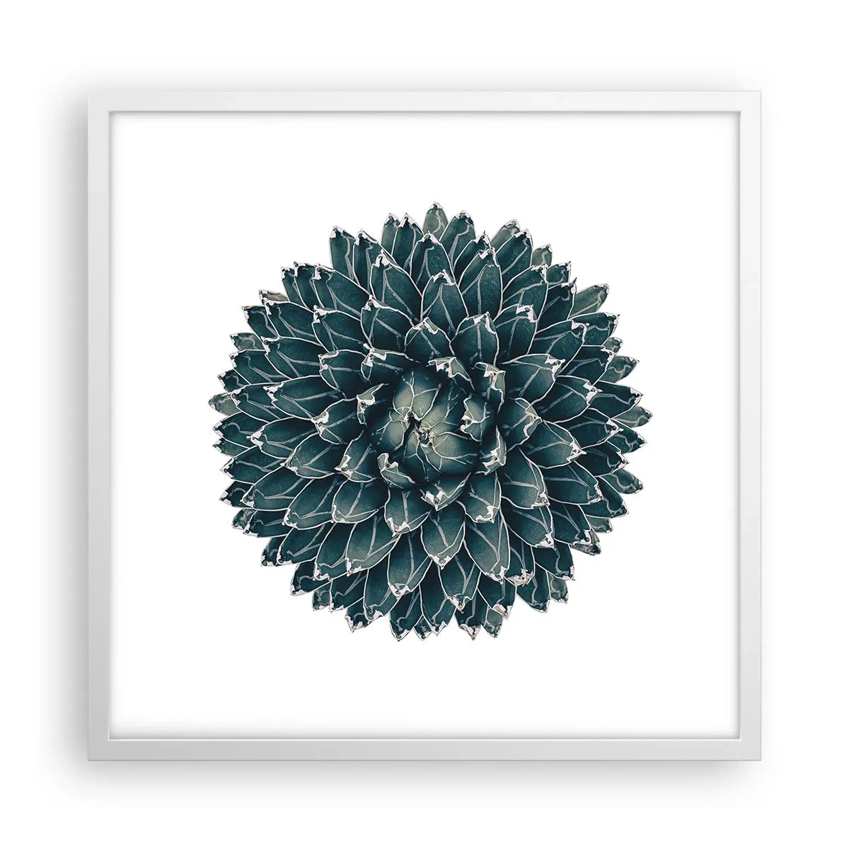 Plakat w białej ramie - Gwiazda pustyni - 50x50 cm