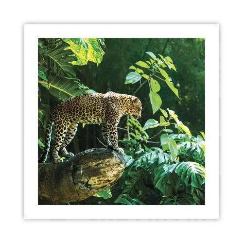 Plakat - Na łowy? - 50x50 cm