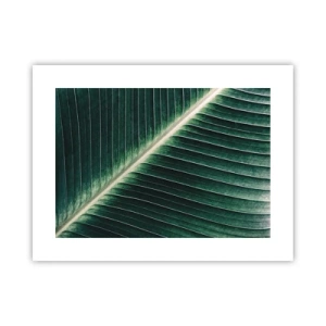 Plakat - Rytm natury - 40x30 cm