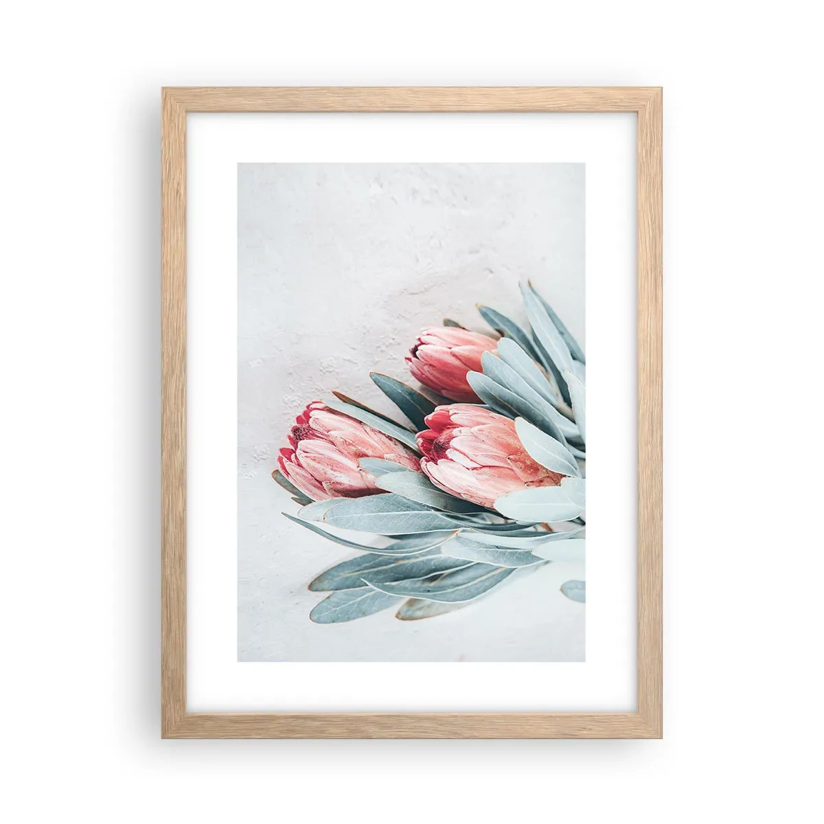 Plakat w ramie jasny dąb - Zawstydzone własną urodą - 30x40 cm