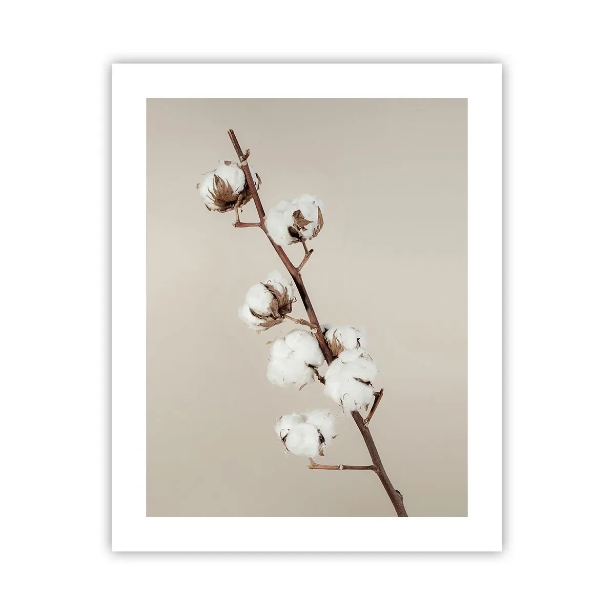 Plakat - U źródła miękkości - 40x50 cm