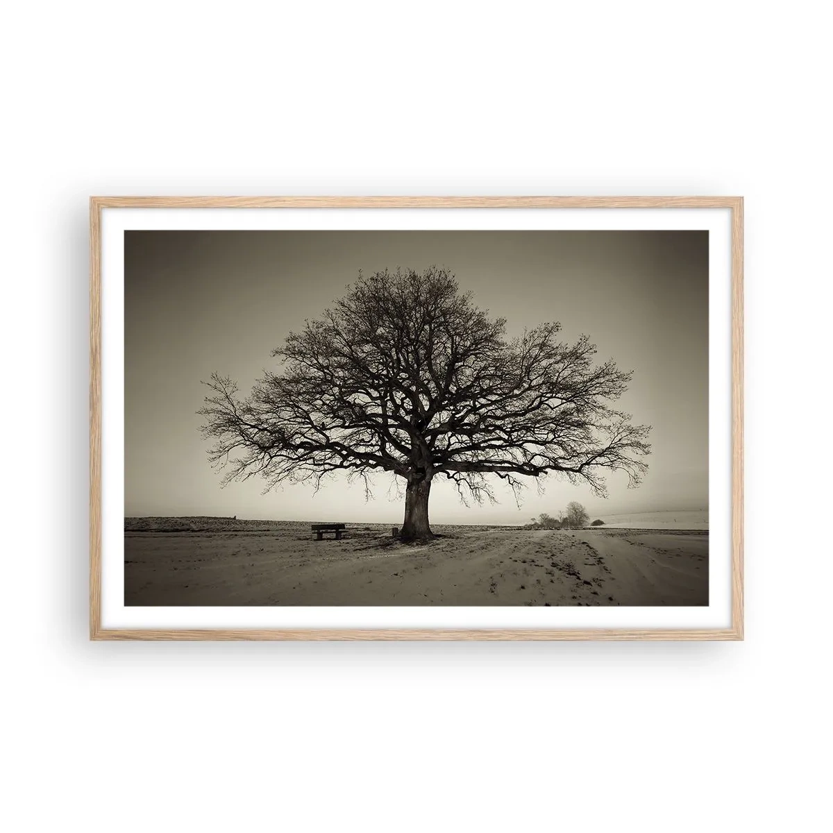Plakat w ramie jasny dąb - Stąd do wieczności - 91x61 cm