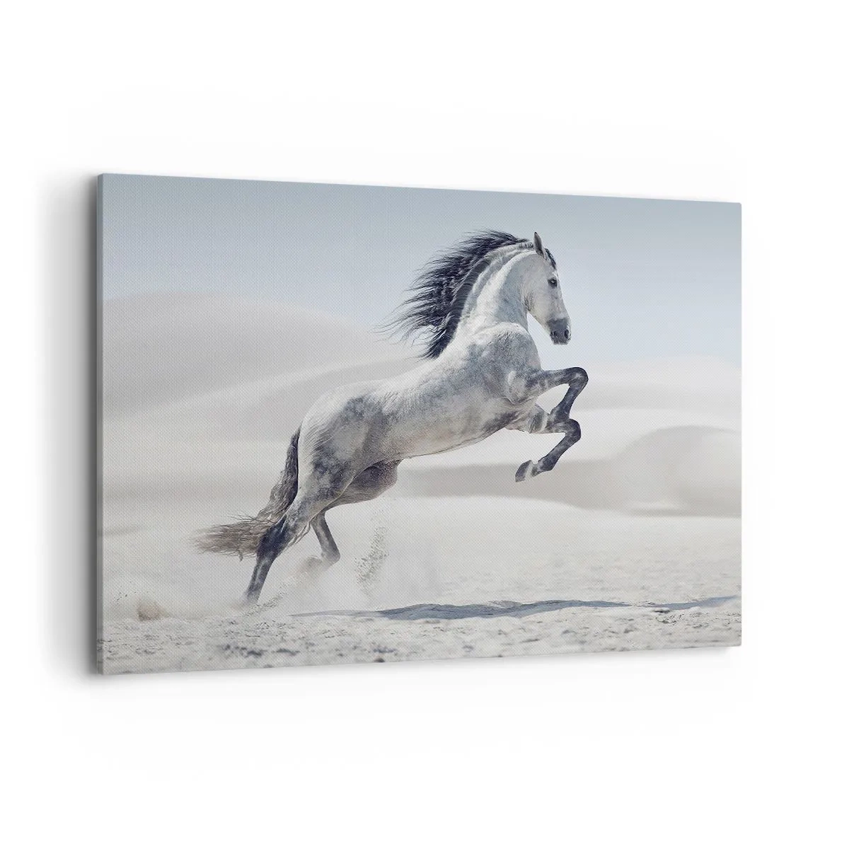 Obraz na płótnie - Biały koń w galopie na tle pustynnych wydm - 120x80cm - Arabski książę - Nowoczesna dekoracja ścienna do salonu, kuchni i sypialni ARTTOR