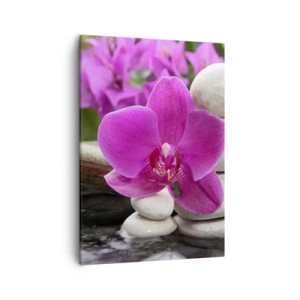 Obraz na płótnie - Różowa orchidea na kamieniach z wodnym odbiciem - 50x70cm - Już odpoczywasz - Nowoczesna dekoracja ścienna do salonu, kuchni i sypialni ARTTOR