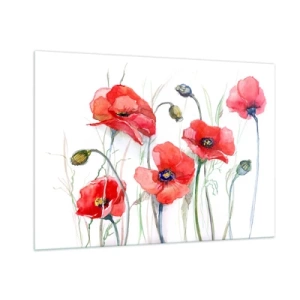 Obraz na szkle - Akwarelowe czerwone maki na białym tle - 100x70cm - Kwiaty polskie - Nowoczesna dekoracja ścienna do salonu, kuchni i sypialni ARTTOR