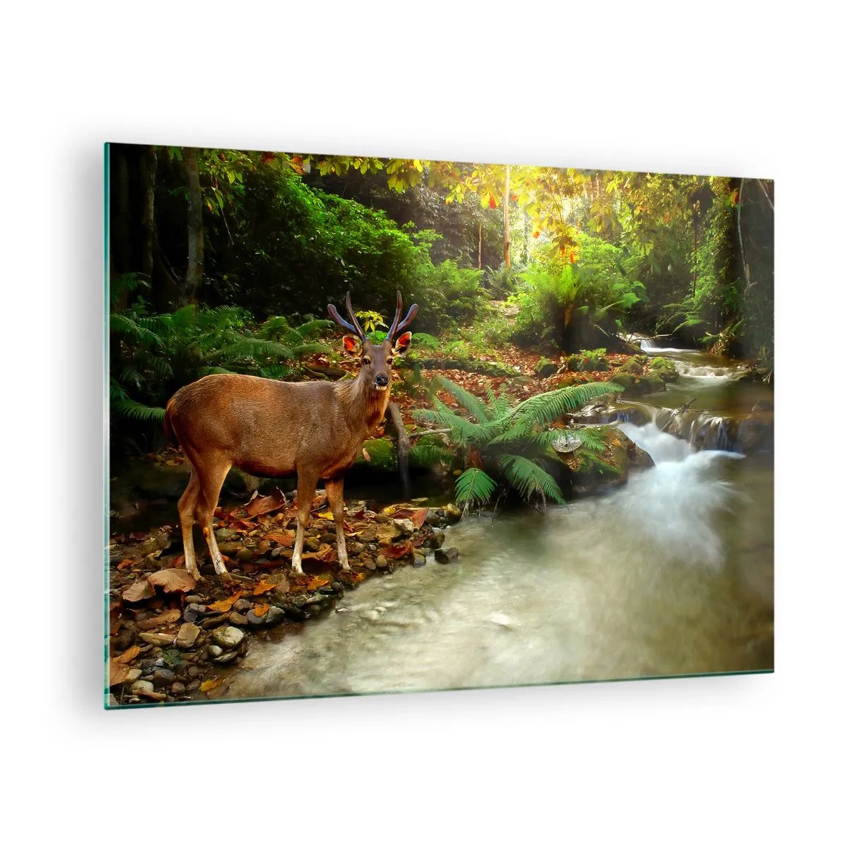 Obraz na szkle - Jeleń przy strumieniu w lesie oświetlonym słońcem - 70x50cm - Witam w moim świecie - Nowoczesna dekoracja ścienna do salonu i sypialni ARTTOR