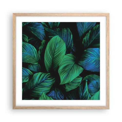 Plakat w ramie jasny dąb - W zielonym tłumie - 50x50 cm