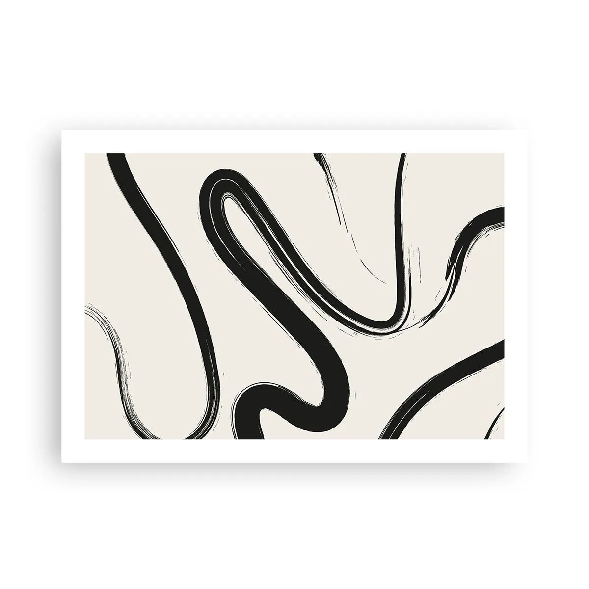 Plakat - Czarno-biała fanaberia - 70x50 cm