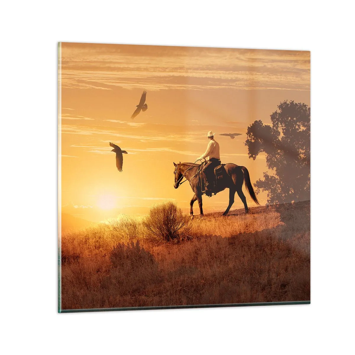 Obraz na szkle - Samotnie przez prerię - 60x60 cm