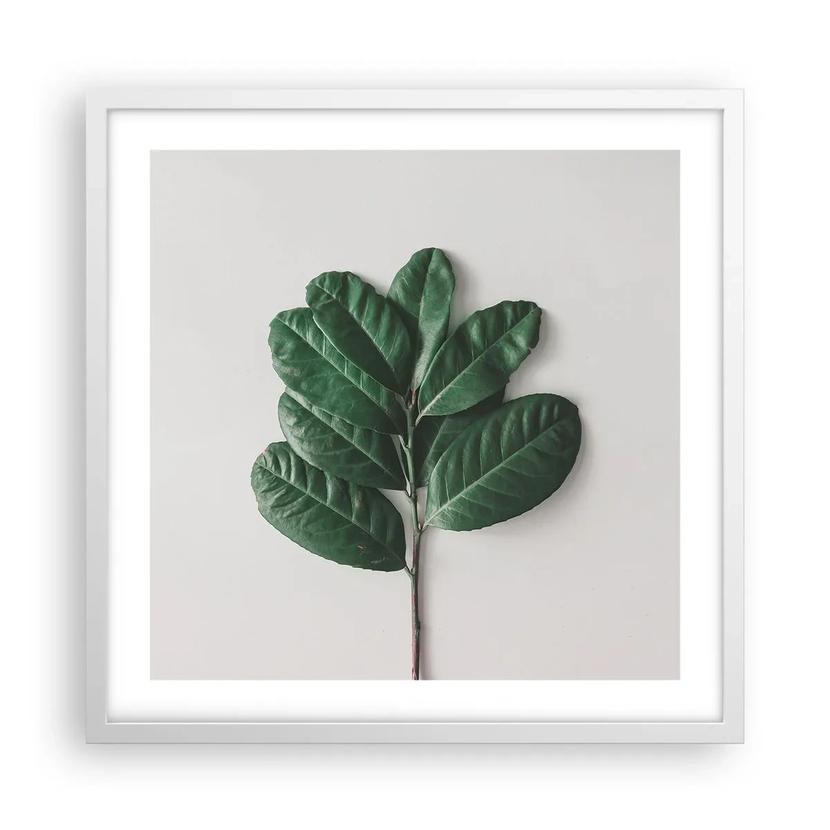 Plakat w białej ramie - Rysunek samej natury - 50x50 cm