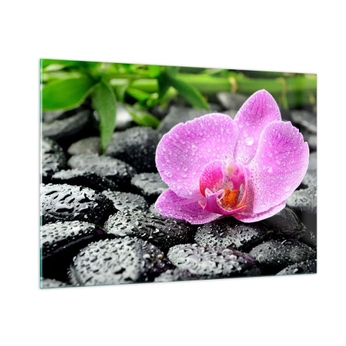 Obraz na szkle - Różowy kwiat orchidei na mokrych czarnych kamieniach - 100x70cm - Jak otwarte serce - Nowoczesna dekoracja ścienna do salonu, kuchni i sypialni ARTTOR