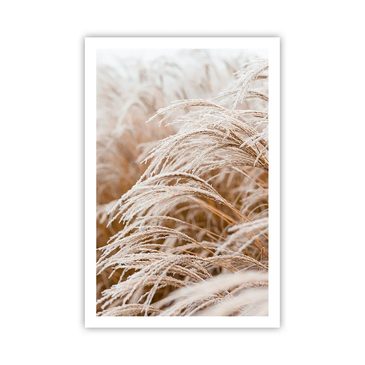 Plakat - Pokłon jesiennemu słońcu - 61x91 cm