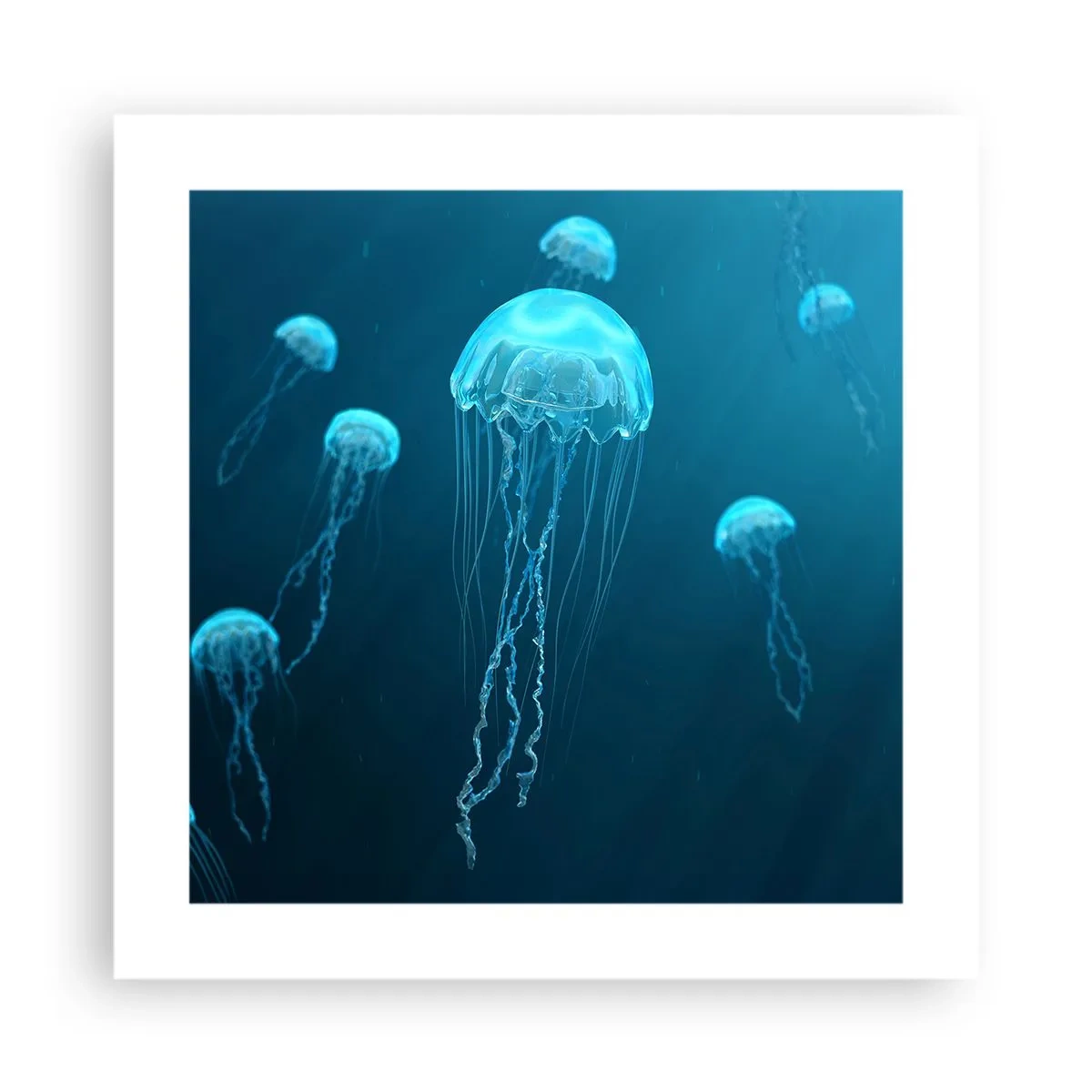 Plakat - Oceaniczny taniec - 40x40 cm