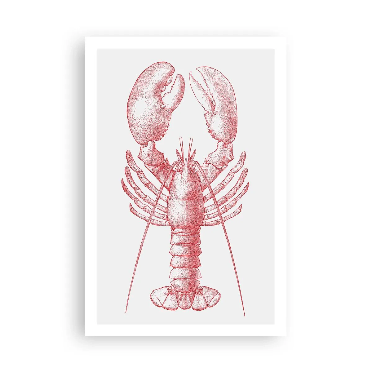 Plakat - Homar godny Homera - 61x91 cm