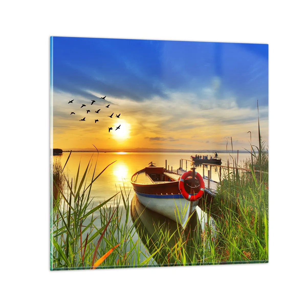 Obraz na szkle - Kormorany odlatują już - 50x50 cm