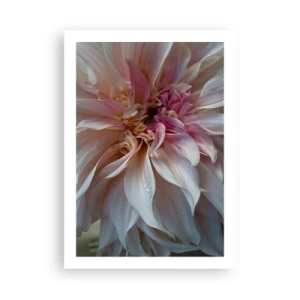 Plakat - Zbliżenie na delikatne płatki kwiatu w pastelowych barwach - 50x70cm - Kwitnąca świeżość - Nowoczesna dekoracja ścienna do salonu, kuchni i sypialni ARTTOR