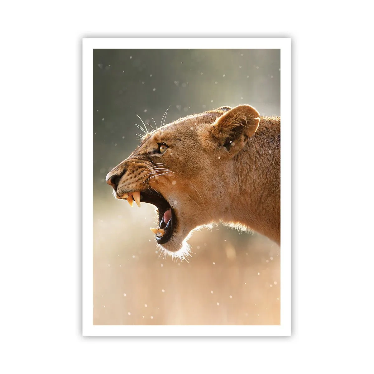 Plakat - Spróbuj nie posłuchać - 70x100 cm