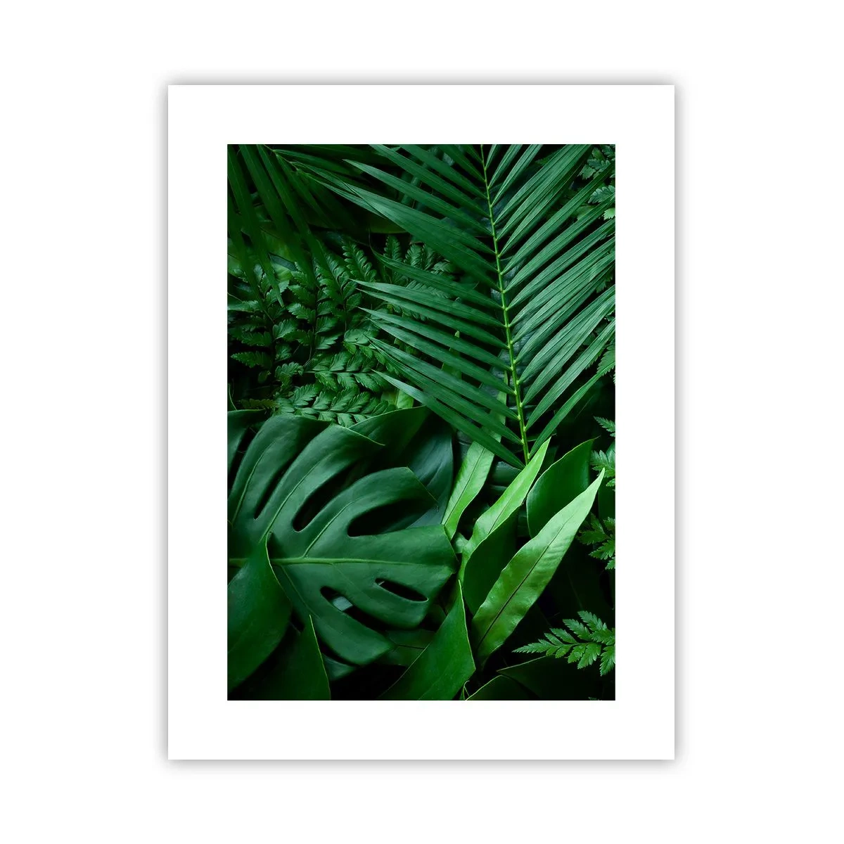 Plakat - Utulone w zieleni - 30x40 cm