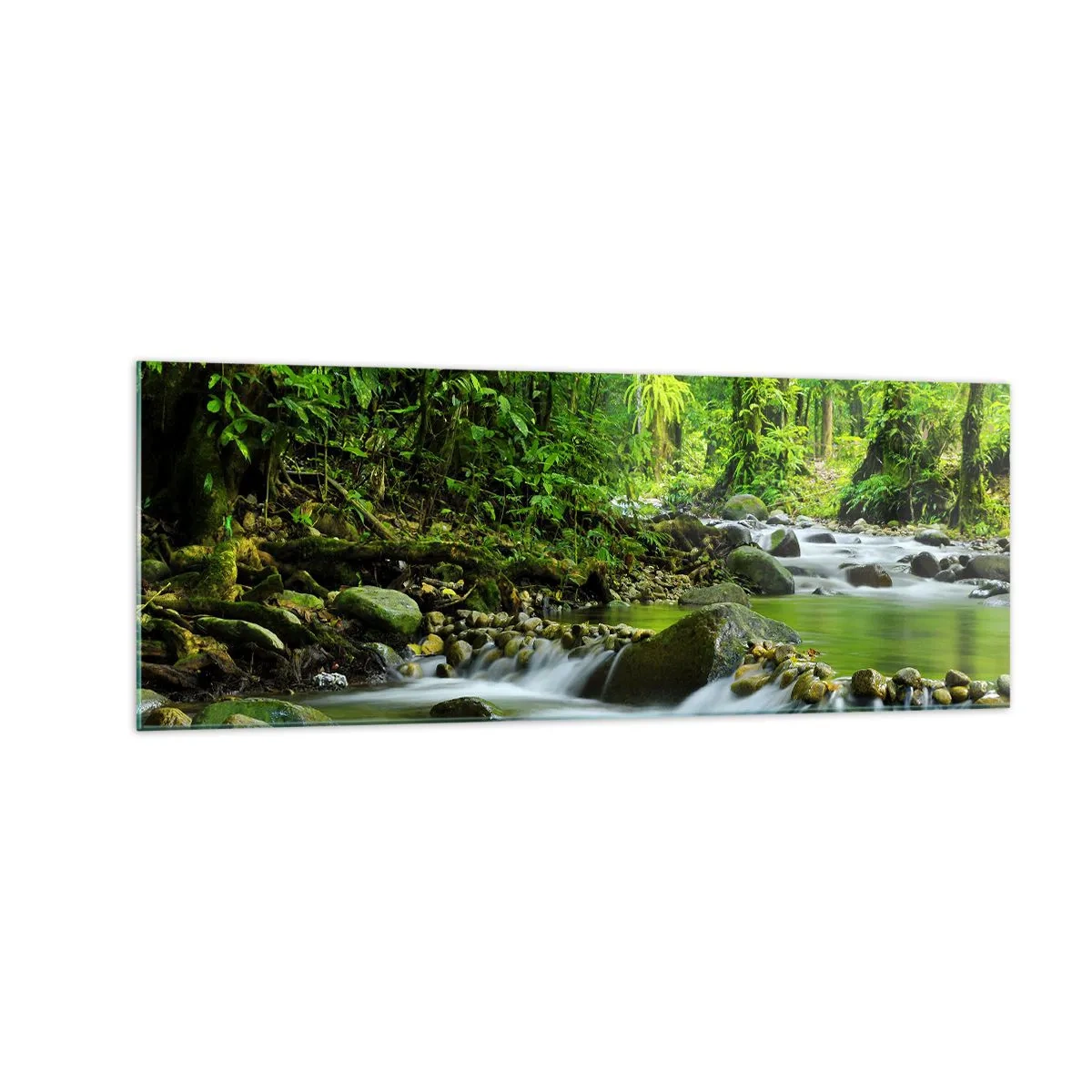 Obraz na szkle - Strumień w lesie tropikalnym z bujną zielenią - 140x50cm - Popłynąć w morzu zieleni - Nowoczesna dekoracja ścienna do salonu i sypialni ARTTOR