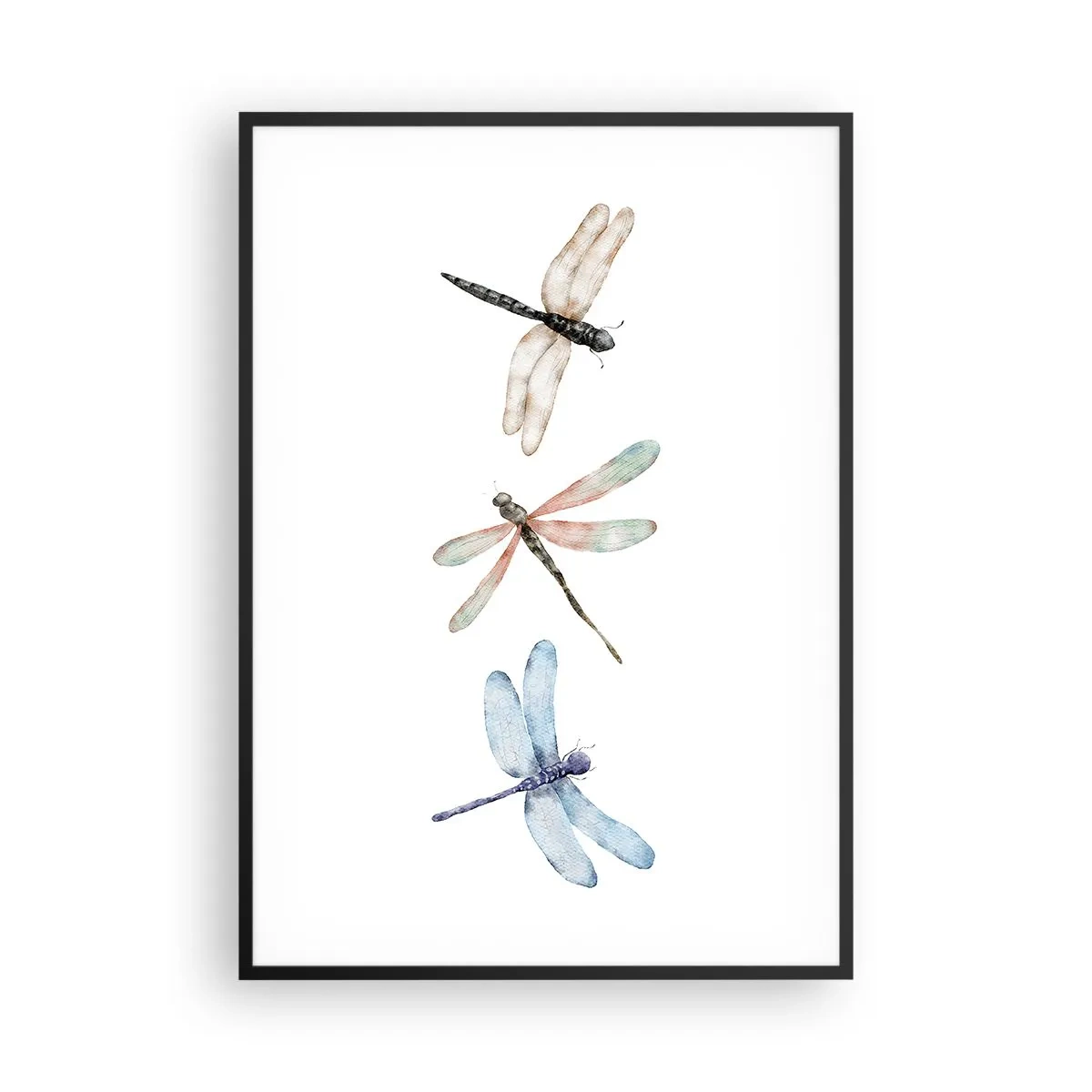 Plakat w czarnej ramie - Ważki nieważkie - 70x100 cm