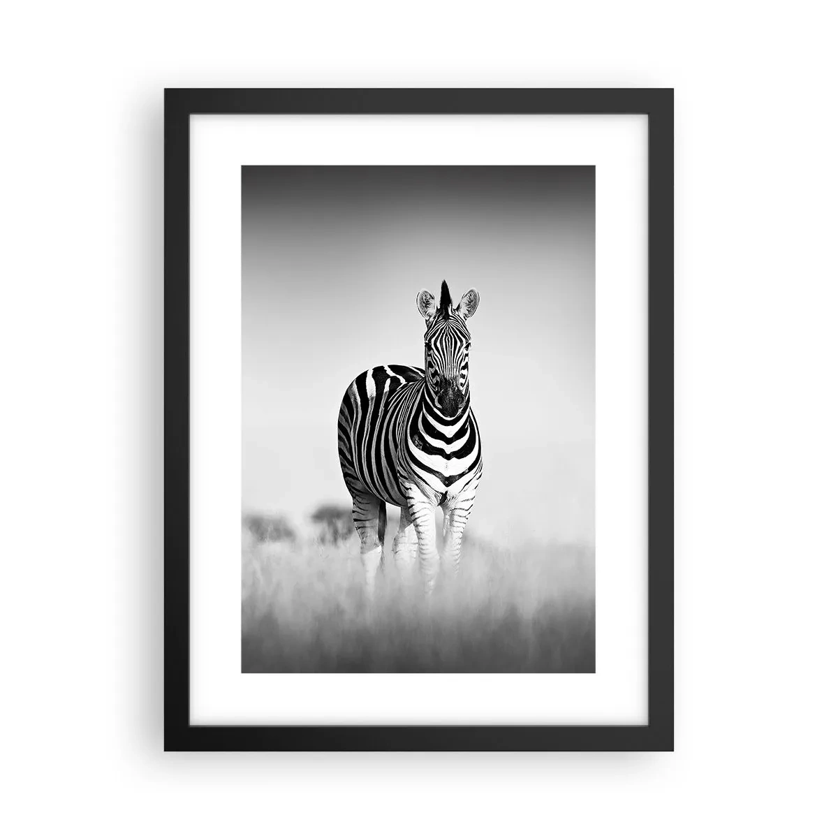 Plakat w czarnej ramie - A jednak świat jest czarno-biały - 30x40 cm