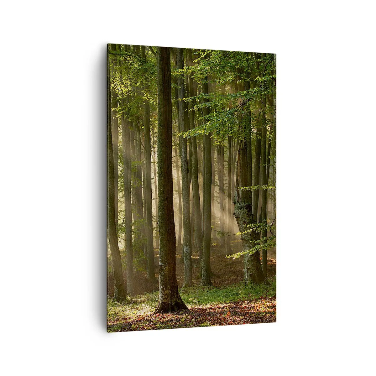 Obraz na płótnie - Promienie słońca przenikające przez drzewa w lesie - 80x120cm - Rozpromieniony w wiosenny poranek - Nowoczesna dekoracja ścienna do salonu i sypialni ARTTOR