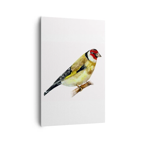 Obraz na płótnie - Ptak z czerwonym łebkiem na gałęzi - 80x120cm - Ptasi portret - Nowoczesna dekoracja ścienna do salonu i sypialni ARTTOR