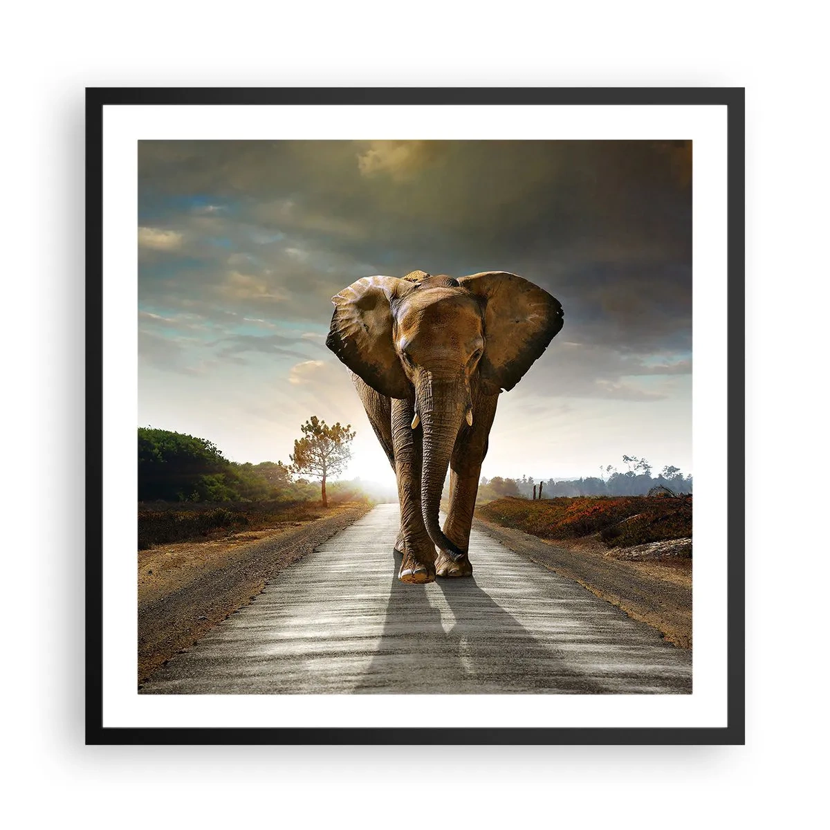 Plakat w czarnej ramie - I wcale nie w składzie porcelany - 60x60 cm