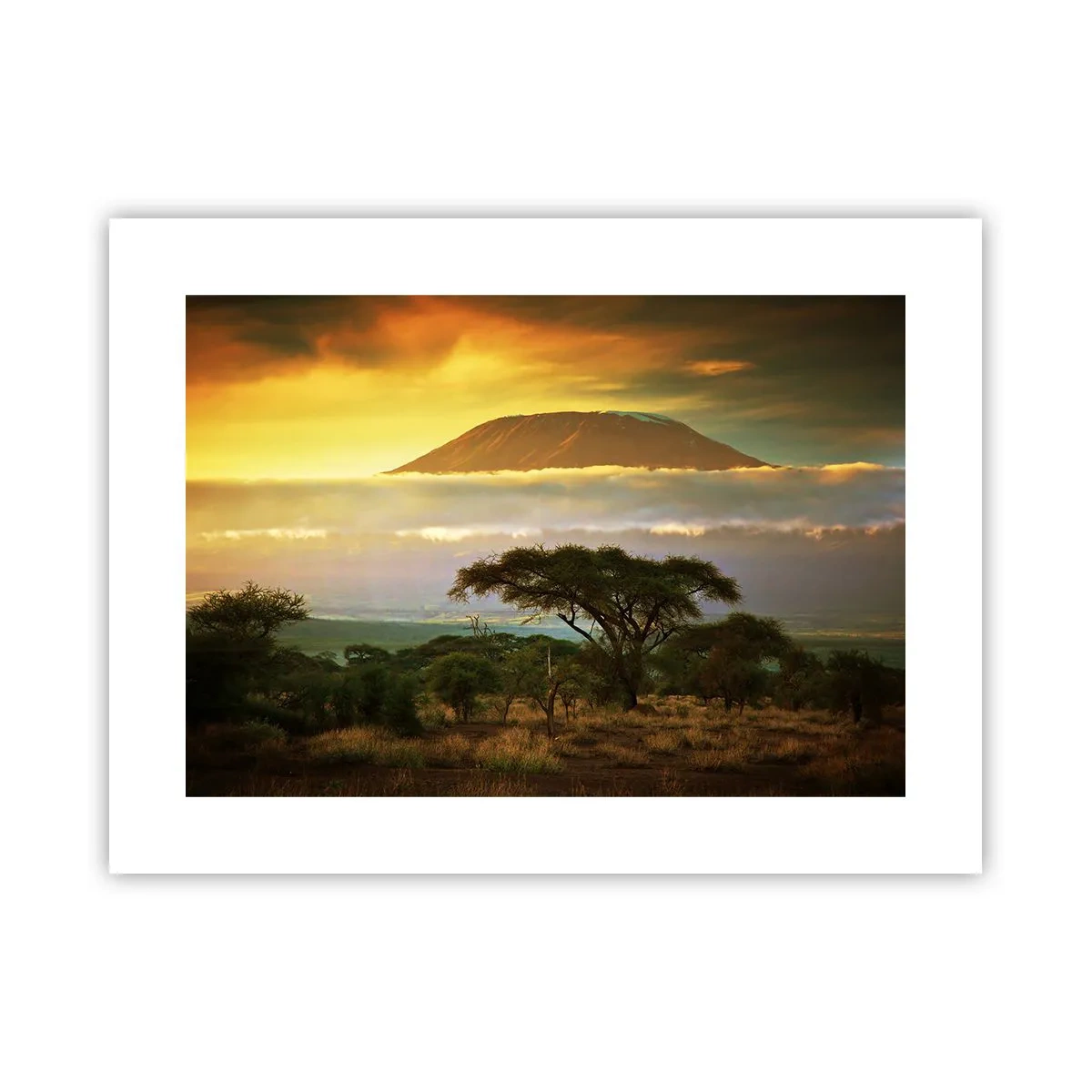Plakat - Sen podróżnika - 40x30 cm