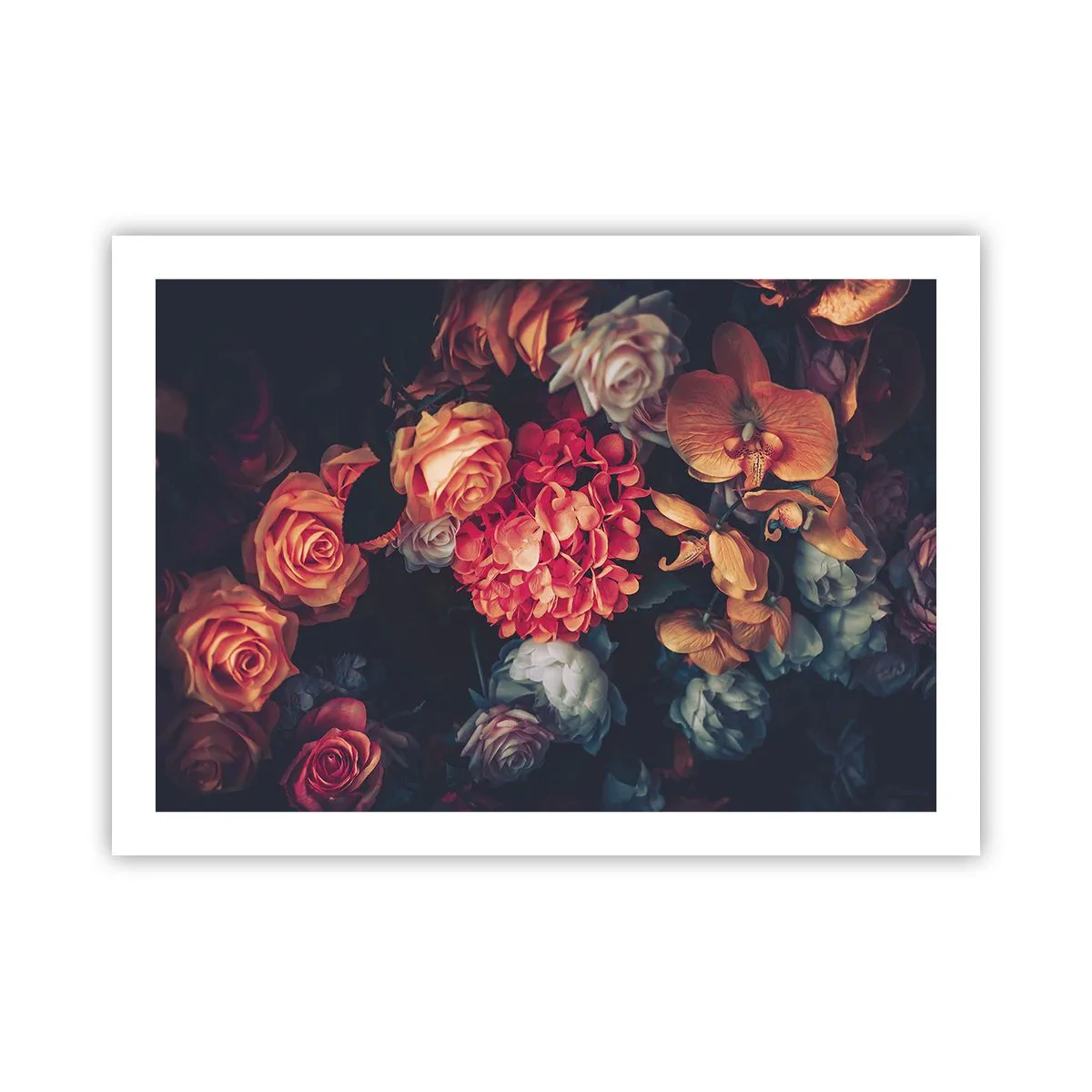 Plakat - Jak u holenderskich mistrzów - 70x50 cm