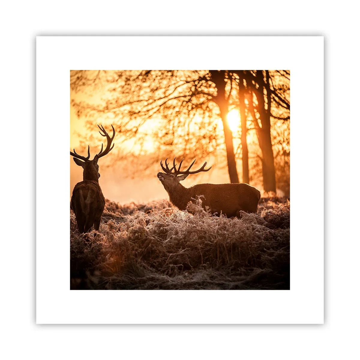 Plakat - Marzenie myśliwego - 30x30 cm