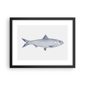 Plakat w czarnej ramie - Pozdrowienia z północnych mórz - 40x30 cm