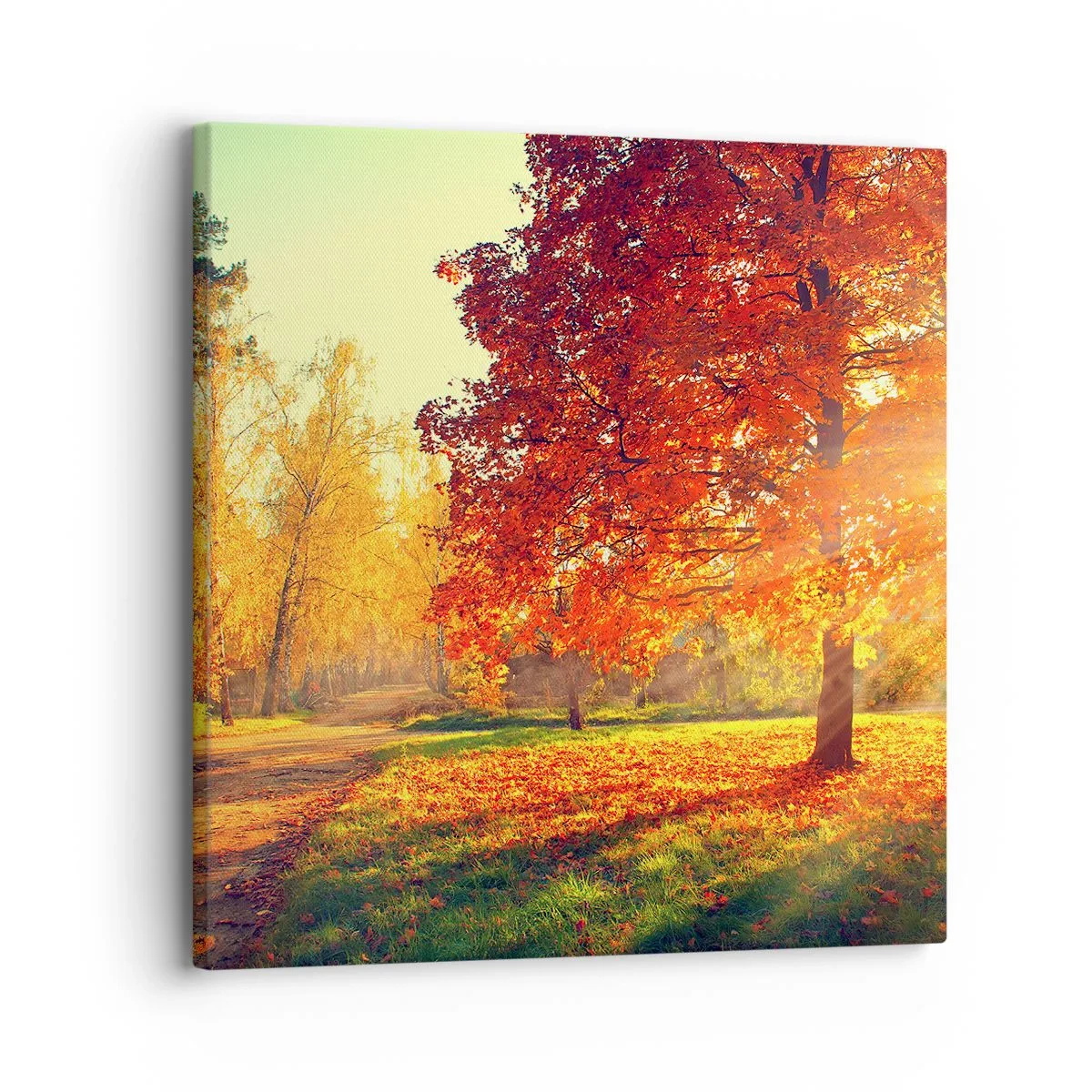 Obraz na płótnie - Rude jest piękne - 30x30 cm